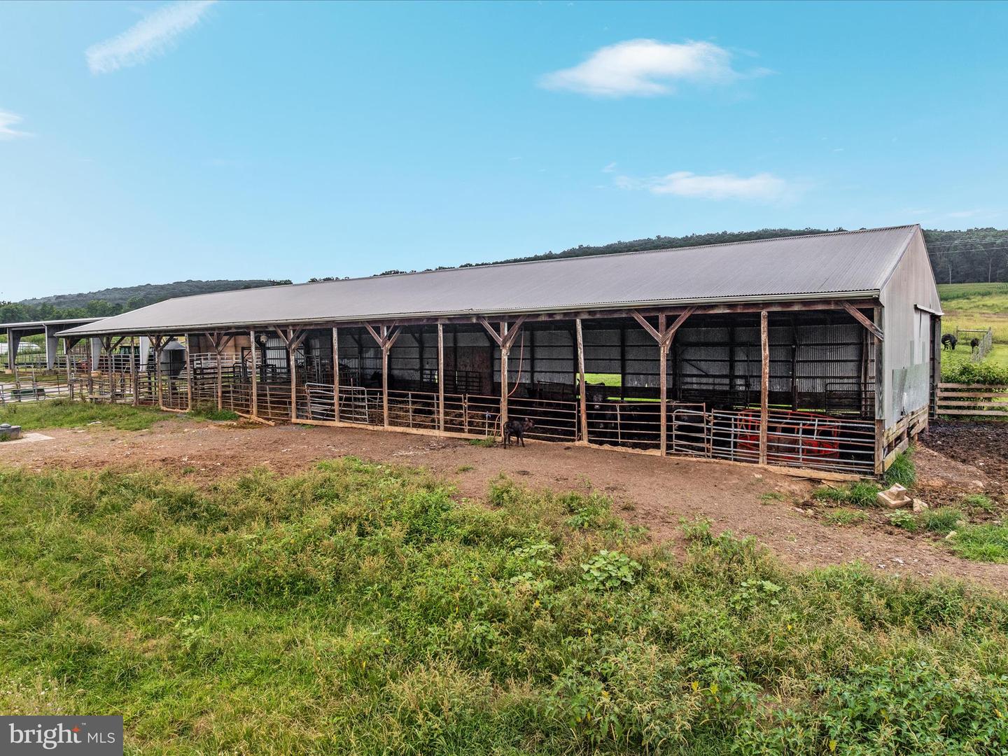 254 CARTE LN, MOUNT JACKSON, Virginia 22842, ,Farm,For sale,254 CARTE LN,VASH2013128 MLS # VASH2013128