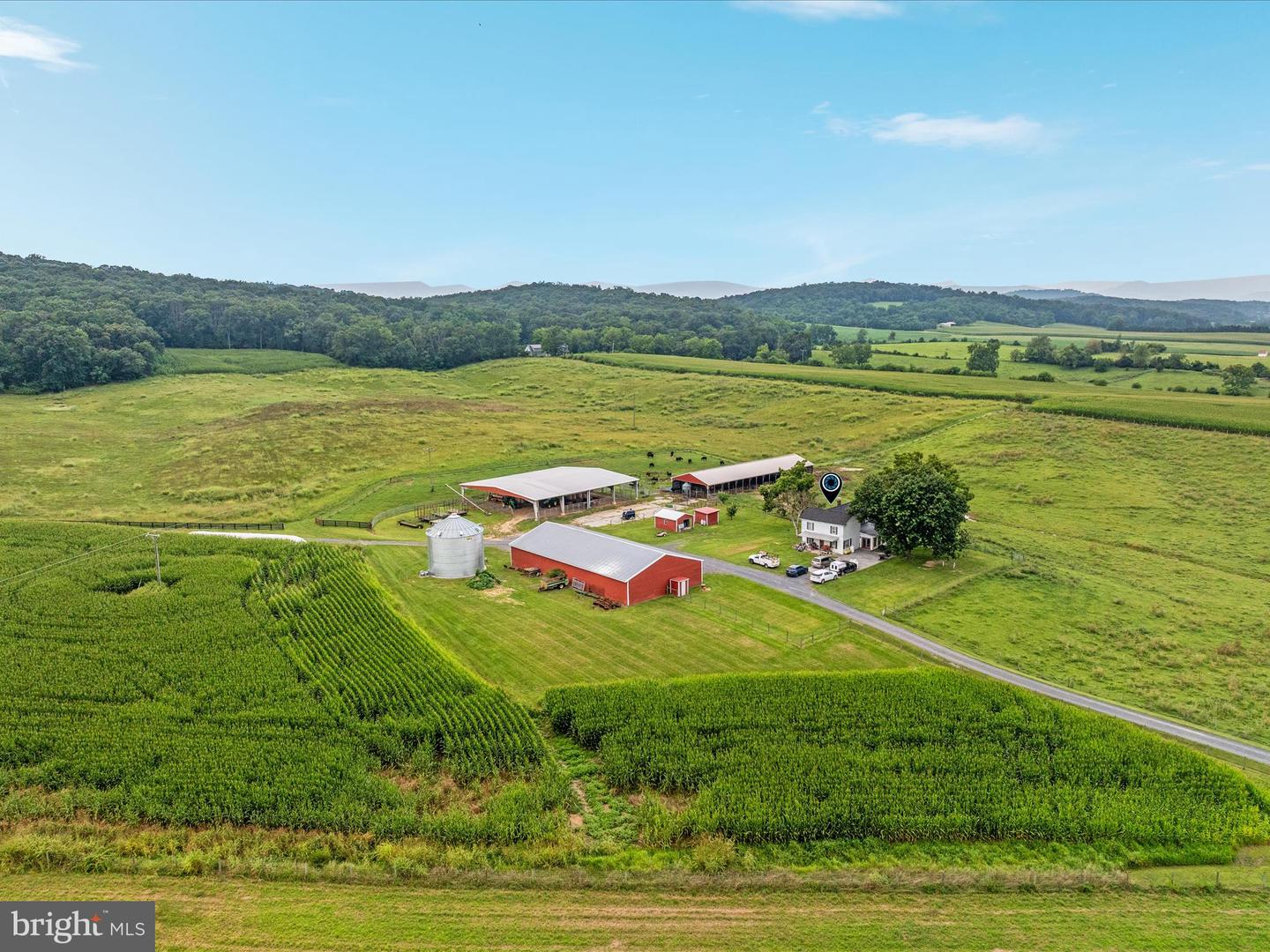 254 CARTE LN, MOUNT JACKSON, Virginia 22842, ,Farm,For sale,254 CARTE LN,VASH2013128 MLS # VASH2013128