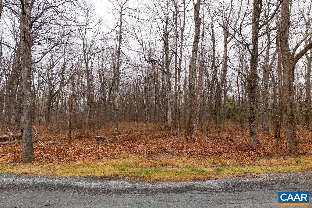 559 LAUREL SPRINGS DR #PRYOR CAMP II 24, WINTERGREEN RESORT, Virginia 22967, ,Land,For sale,559 LAUREL SPRINGS DR #PRYOR CAMP II 24,671489 MLS # 671489