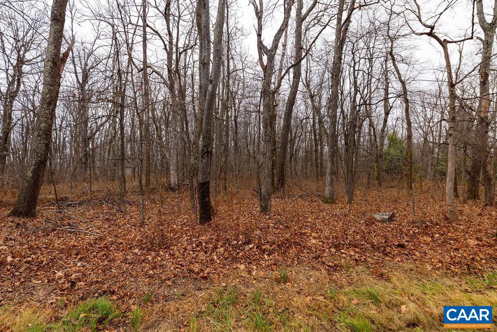 559 LAUREL SPRINGS DR #PRYOR CAMP II 24, WINTERGREEN RESORT, Virginia 22967, ,Land,For sale,559 LAUREL SPRINGS DR #PRYOR CAMP II 24,671489 MLS # 671489