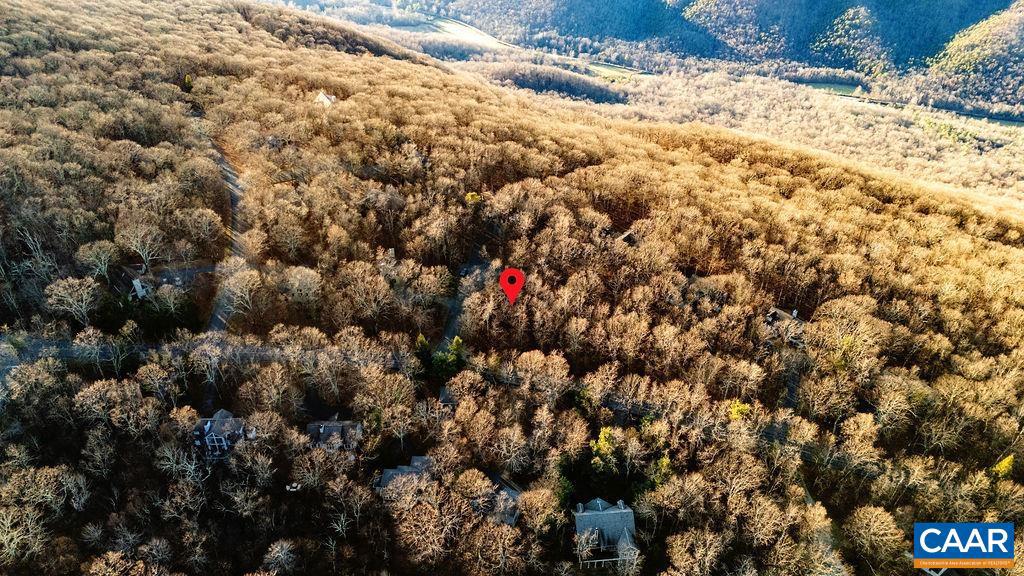 559 LAUREL SPRINGS DR #PRYOR CAMP II 24, WINTERGREEN RESORT, Virginia 22967, ,Land,For sale,559 LAUREL SPRINGS DR #PRYOR CAMP II 24,671489 MLS # 671489