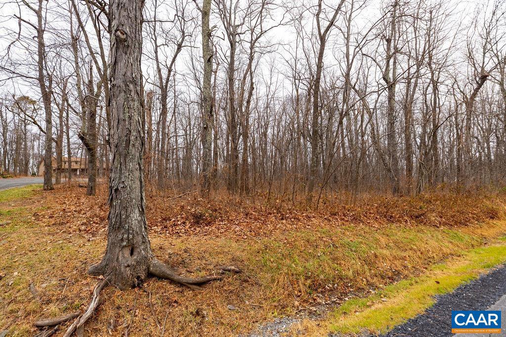 559 LAUREL SPRINGS DR #PRYOR CAMP II 24, WINTERGREEN RESORT, Virginia 22967, ,Land,For sale,559 LAUREL SPRINGS DR #PRYOR CAMP II 24,671489 MLS # 671489