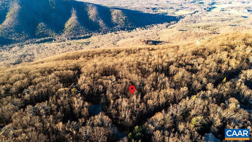 559 LAUREL SPRINGS DR #PRYOR CAMP II 24, WINTERGREEN RESORT, Virginia 22967, ,Land,For sale,559 LAUREL SPRINGS DR #PRYOR CAMP II 24,671489 MLS # 671489
