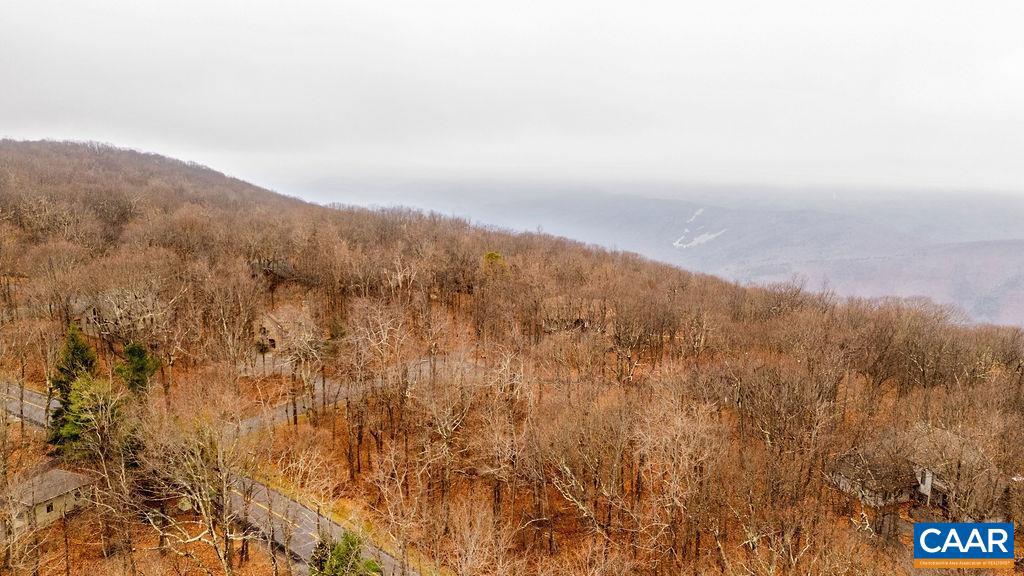 559 LAUREL SPRINGS DR #PRYOR CAMP II 24, WINTERGREEN RESORT, Virginia 22967, ,Land,For sale,559 LAUREL SPRINGS DR #PRYOR CAMP II 24,671489 MLS # 671489