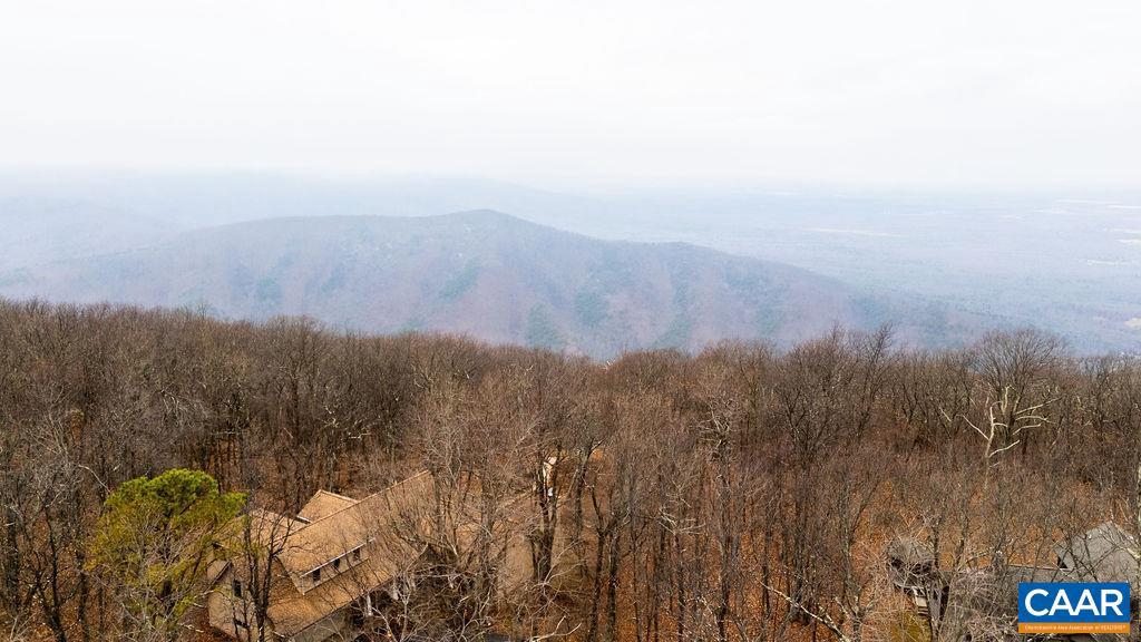 559 LAUREL SPRINGS DR #PRYOR CAMP II 24, WINTERGREEN RESORT, Virginia 22967, ,Land,For sale,559 LAUREL SPRINGS DR #PRYOR CAMP II 24,671489 MLS # 671489