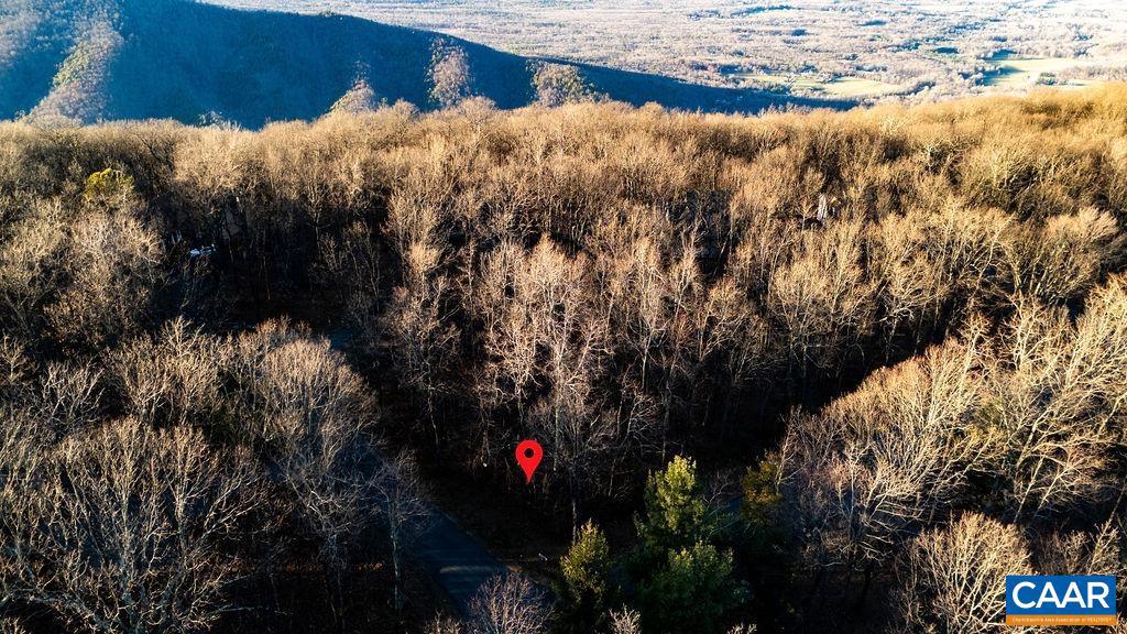 559 LAUREL SPRINGS DR #PRYOR CAMP II 24, WINTERGREEN RESORT, Virginia 22967, ,Land,For sale,559 LAUREL SPRINGS DR #PRYOR CAMP II 24,671489 MLS # 671489