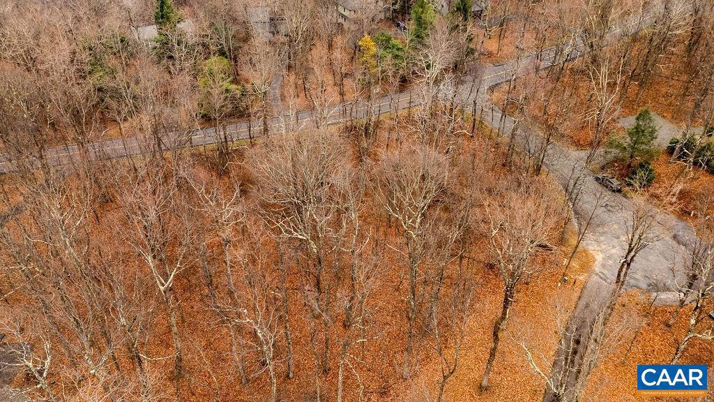 559 LAUREL SPRINGS DR #PRYOR CAMP II 24, WINTERGREEN RESORT, Virginia 22967, ,Land,For sale,559 LAUREL SPRINGS DR #PRYOR CAMP II 24,671489 MLS # 671489