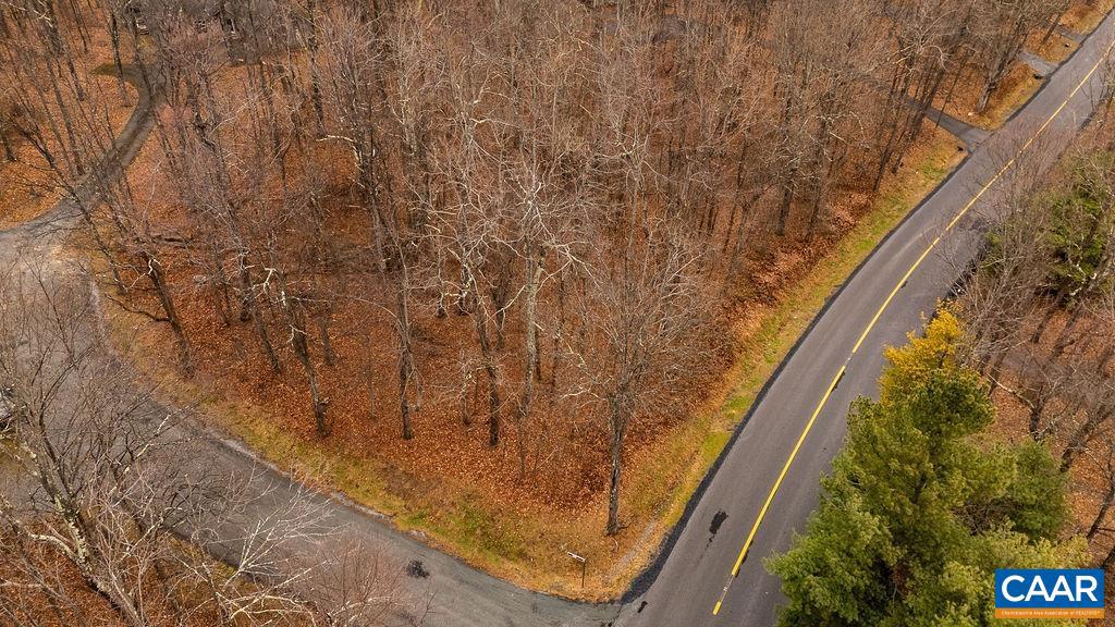 559 LAUREL SPRINGS DR #PRYOR CAMP II 24, WINTERGREEN RESORT, Virginia 22967, ,Land,For sale,559 LAUREL SPRINGS DR #PRYOR CAMP II 24,671489 MLS # 671489