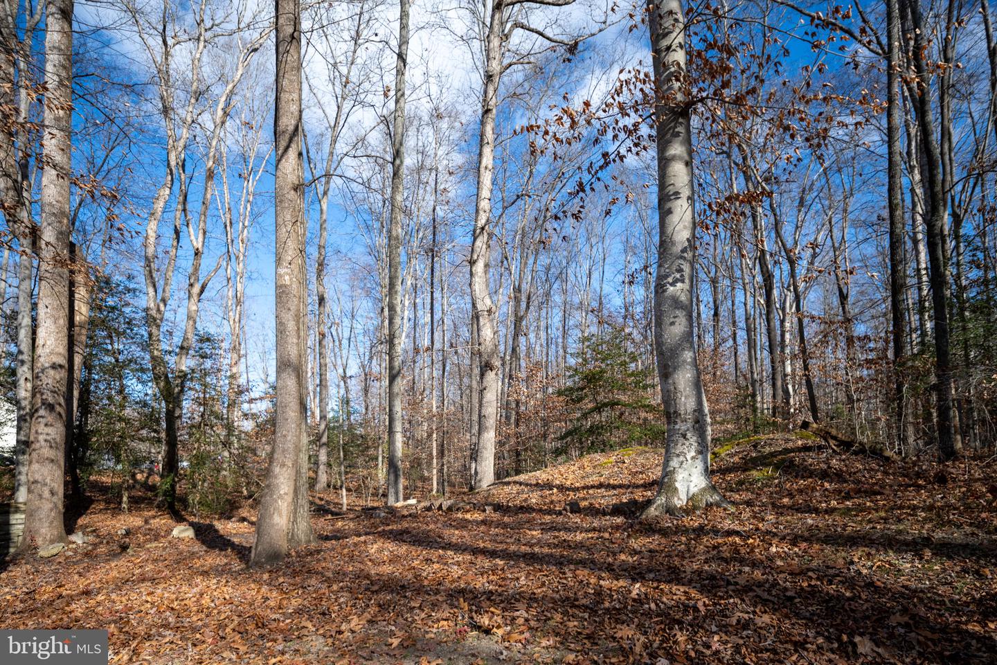 26335 HILL RD, RUTHER GLEN, Virginia 22546, 3 Bedrooms Bedrooms, ,1 BathroomBathrooms,Residential,For sale,26335 HILL RD,VACV2009156 MLS # VACV2009156