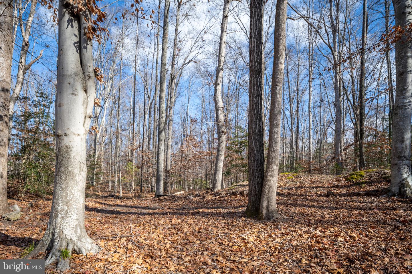 26335 HILL RD, RUTHER GLEN, Virginia 22546, 3 Bedrooms Bedrooms, ,1 BathroomBathrooms,Residential,For sale,26335 HILL RD,VACV2009156 MLS # VACV2009156