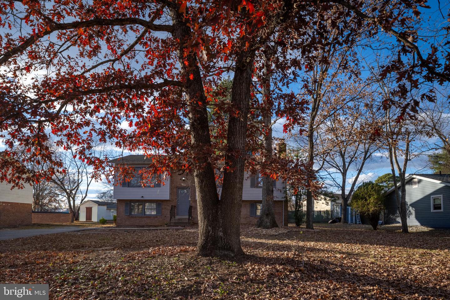 11806 BUCHANAN CT, FREDERICKSBURG, Virginia 22407, 4 Bedrooms Bedrooms, ,2 BathroomsBathrooms,Residential,For sale,11806 BUCHANAN CT,VASP2037844 MLS # VASP2037844