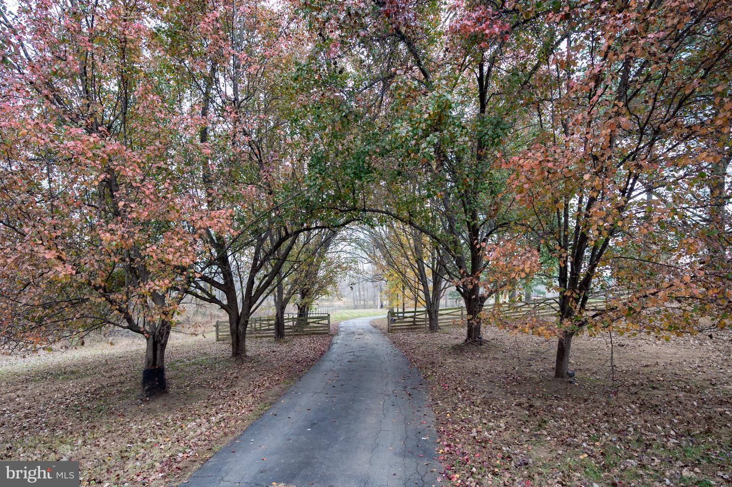 37896 LEGARD FARM RD, HILLSBORO, Virginia 20132, 4 Bedrooms Bedrooms, ,3 BathroomsBathrooms,Residential,For sale,37896 LEGARD FARM RD,VALO2099300 MLS # VALO2099300
