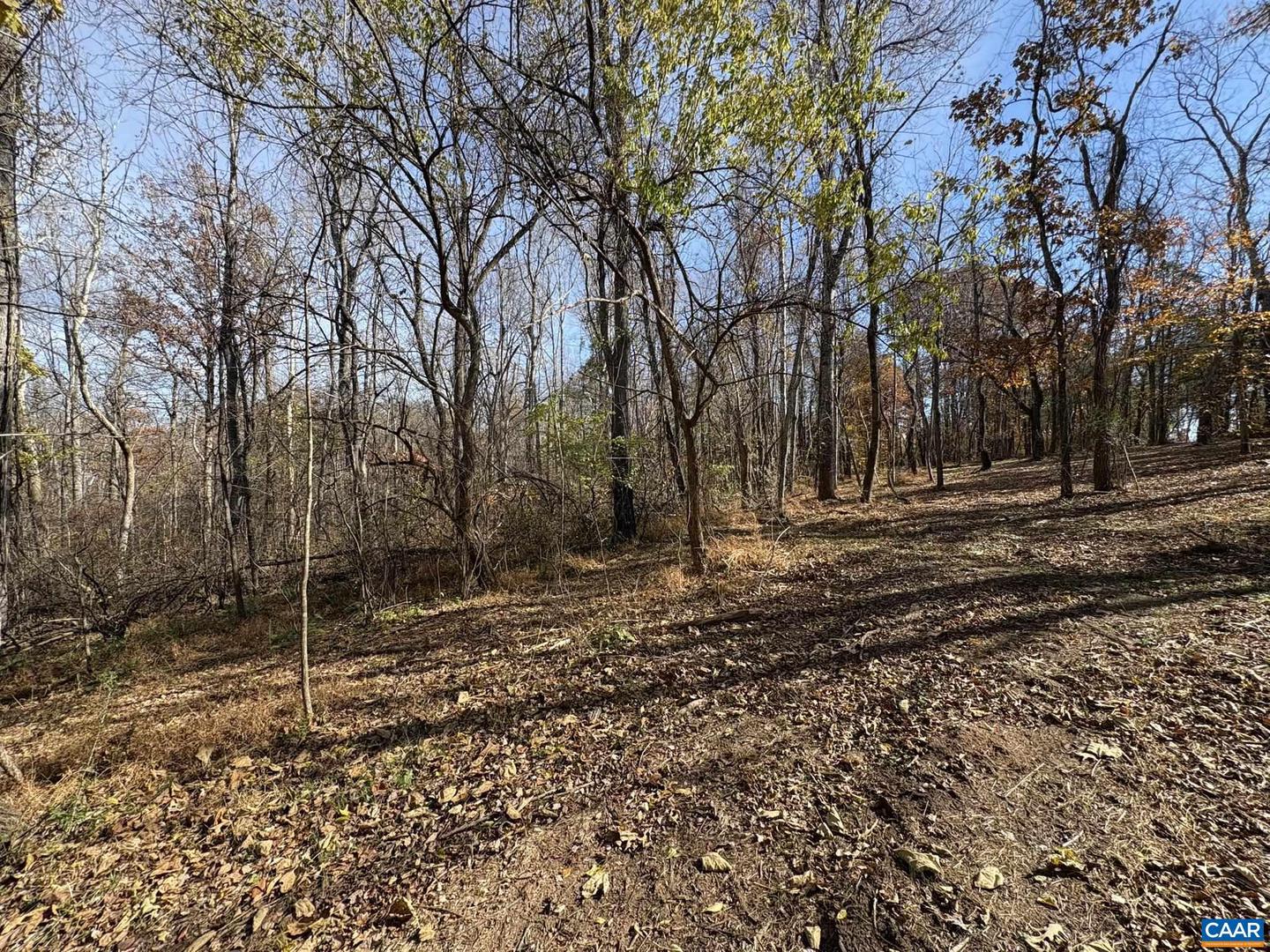 PARCEL F DULWICH DR #PARCEL F, AMHERST, Virginia 24521, ,Land,For sale,PARCEL F DULWICH DR #PARCEL F,671491 MLS # 671491