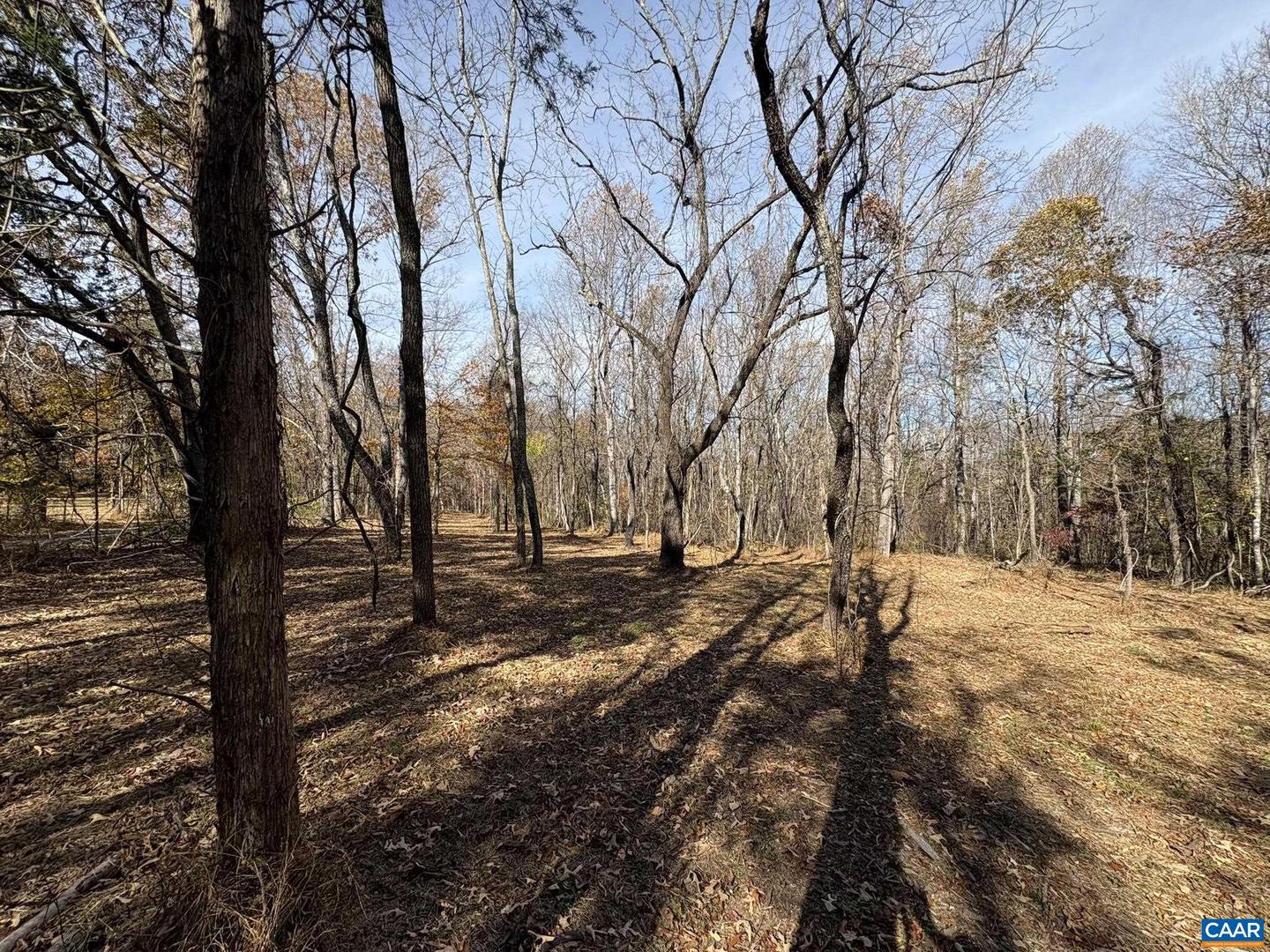 PARCEL F DULWICH DR #PARCEL F, AMHERST, Virginia 24521, ,Land,For sale,PARCEL F DULWICH DR #PARCEL F,671491 MLS # 671491