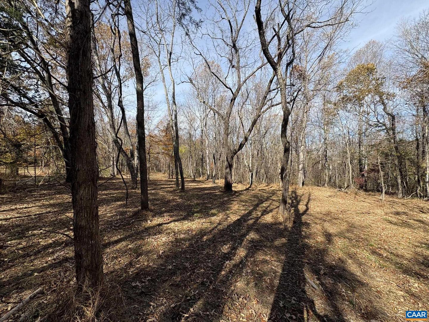 PARCEL F DULWICH DR #PARCEL F, AMHERST, Virginia 24521, ,Land,For sale,PARCEL F DULWICH DR #PARCEL F,671491 MLS # 671491