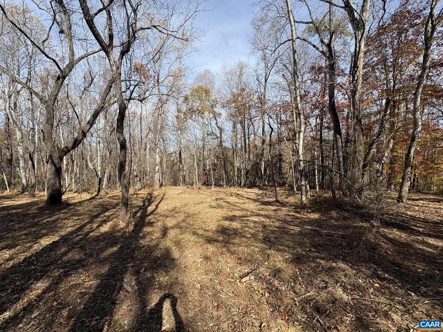 PARCEL F DULWICH DR #PARCEL F, AMHERST, Virginia 24521, ,Land,For sale,PARCEL F DULWICH DR #PARCEL F,671491 MLS # 671491