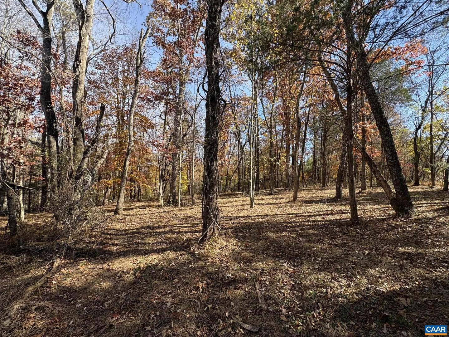 PARCEL F DULWICH DR #PARCEL F, AMHERST, Virginia 24521, ,Land,For sale,PARCEL F DULWICH DR #PARCEL F,671491 MLS # 671491