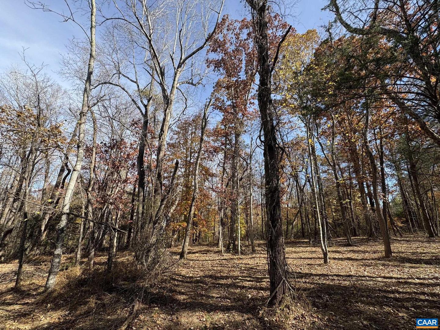 PARCEL F DULWICH DR #PARCEL F, AMHERST, Virginia 24521, ,Land,For sale,PARCEL F DULWICH DR #PARCEL F,671491 MLS # 671491