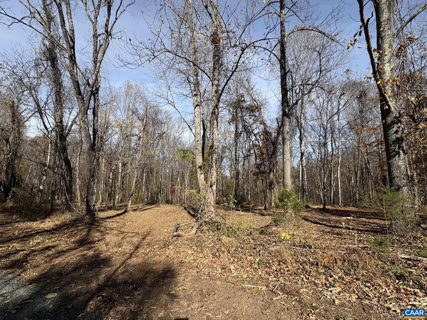 PARCEL F DULWICH DR #PARCEL F, AMHERST, Virginia 24521, ,Land,For sale,PARCEL F DULWICH DR #PARCEL F,671491 MLS # 671491