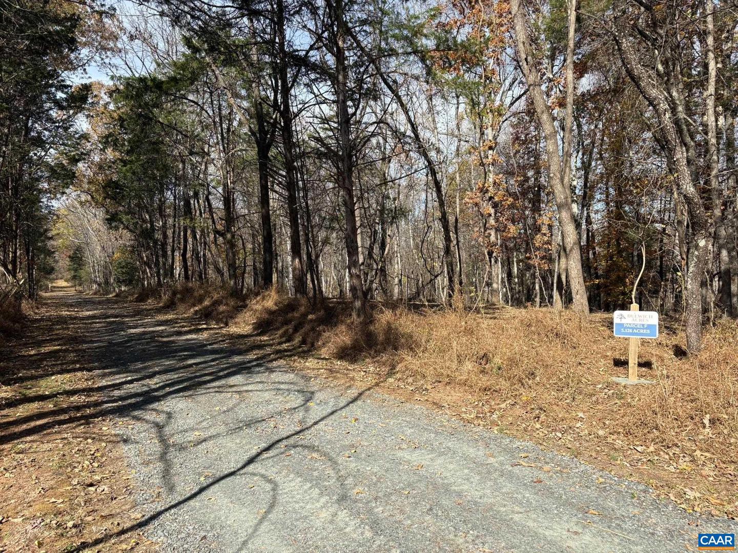 PARCEL F DULWICH DR #PARCEL F, AMHERST, Virginia 24521, ,Land,For sale,PARCEL F DULWICH DR #PARCEL F,671491 MLS # 671491