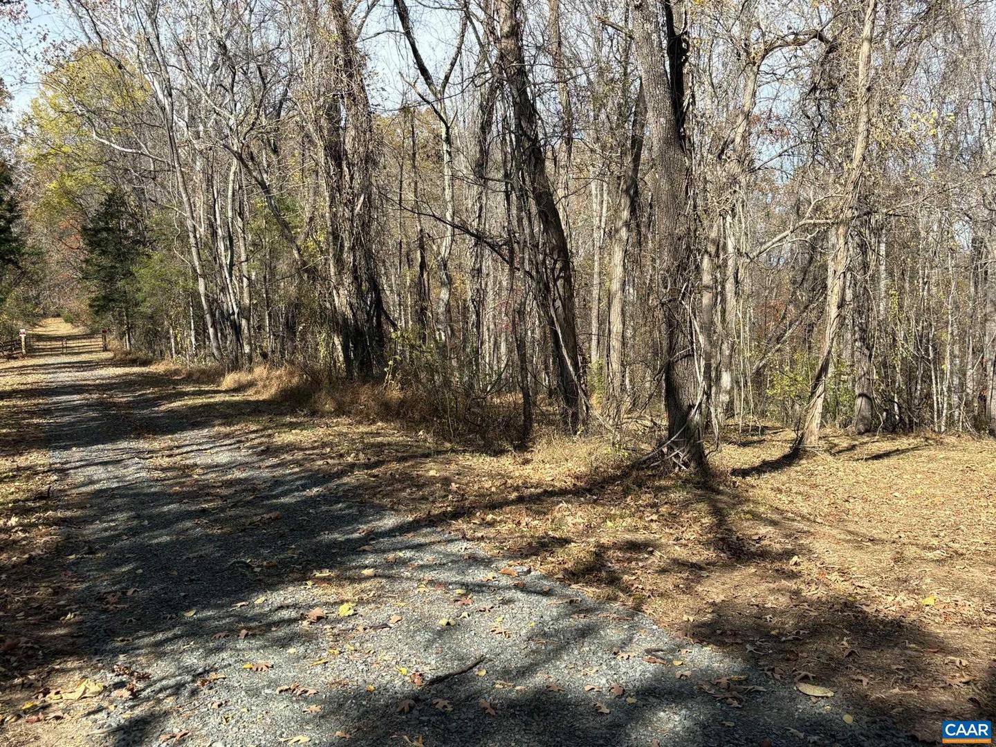 PARCEL F DULWICH DR #PARCEL F, AMHERST, Virginia 24521, ,Land,For sale,PARCEL F DULWICH DR #PARCEL F,671491 MLS # 671491