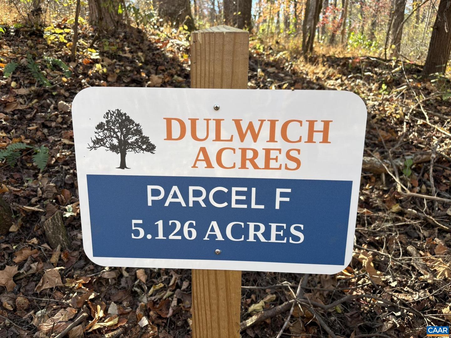 PARCEL F DULWICH DR #PARCEL F, AMHERST, Virginia 24521, ,Land,For sale,PARCEL F DULWICH DR #PARCEL F,671491 MLS # 671491