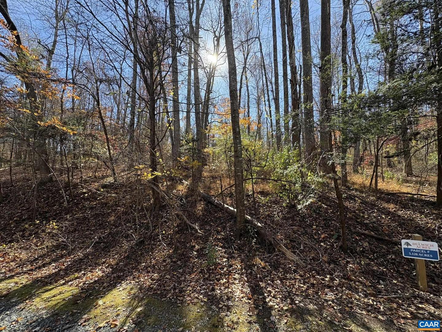 PARCEL F DULWICH DR #PARCEL F, AMHERST, Virginia 24521, ,Land,For sale,PARCEL F DULWICH DR #PARCEL F,671491 MLS # 671491