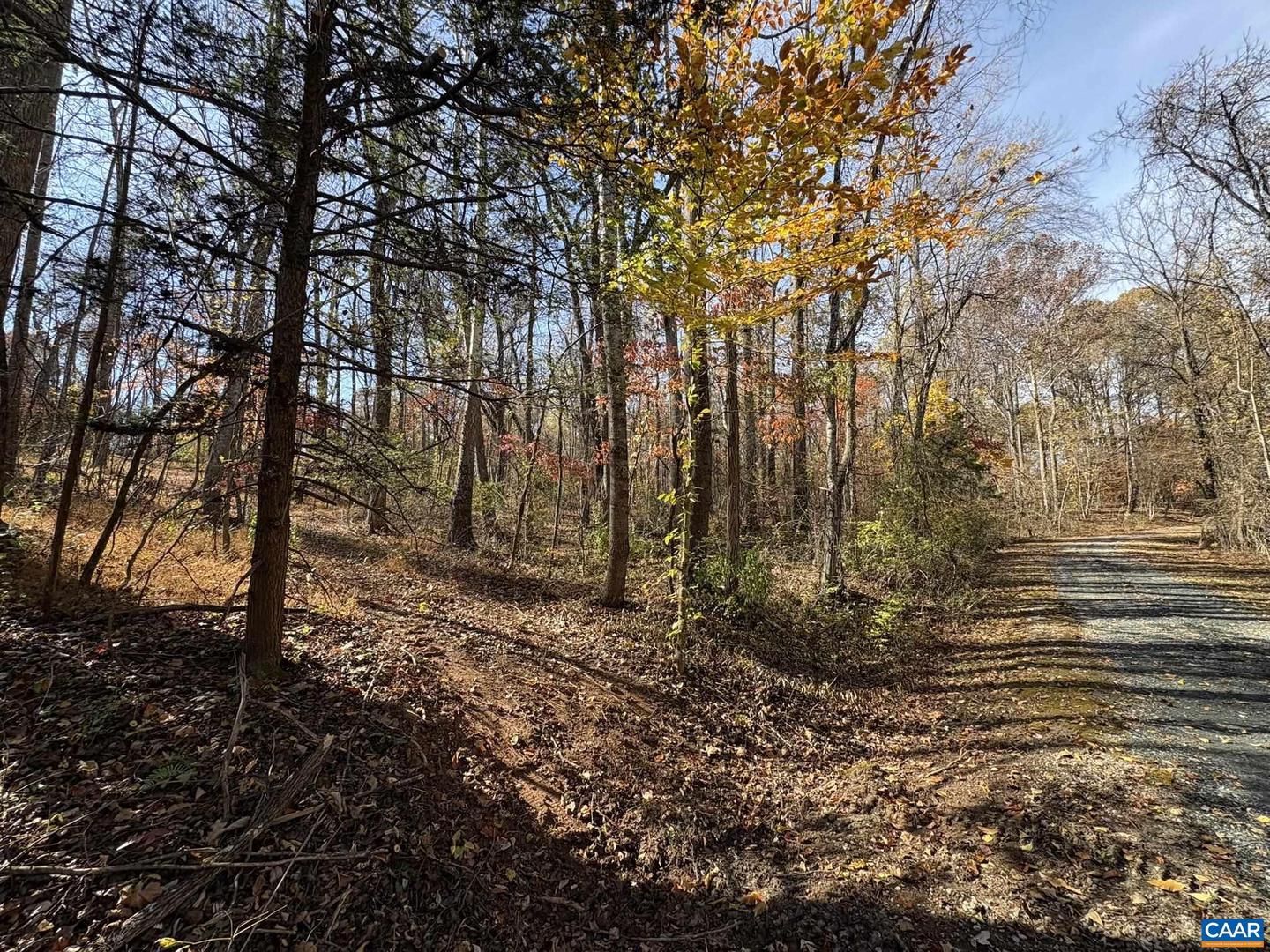 PARCEL F DULWICH DR #PARCEL F, AMHERST, Virginia 24521, ,Land,For sale,PARCEL F DULWICH DR #PARCEL F,671491 MLS # 671491