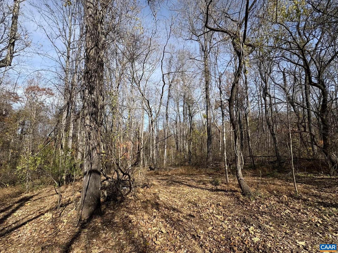 PARCEL F DULWICH DR #PARCEL F, AMHERST, Virginia 24521, ,Land,For sale,PARCEL F DULWICH DR #PARCEL F,671491 MLS # 671491
