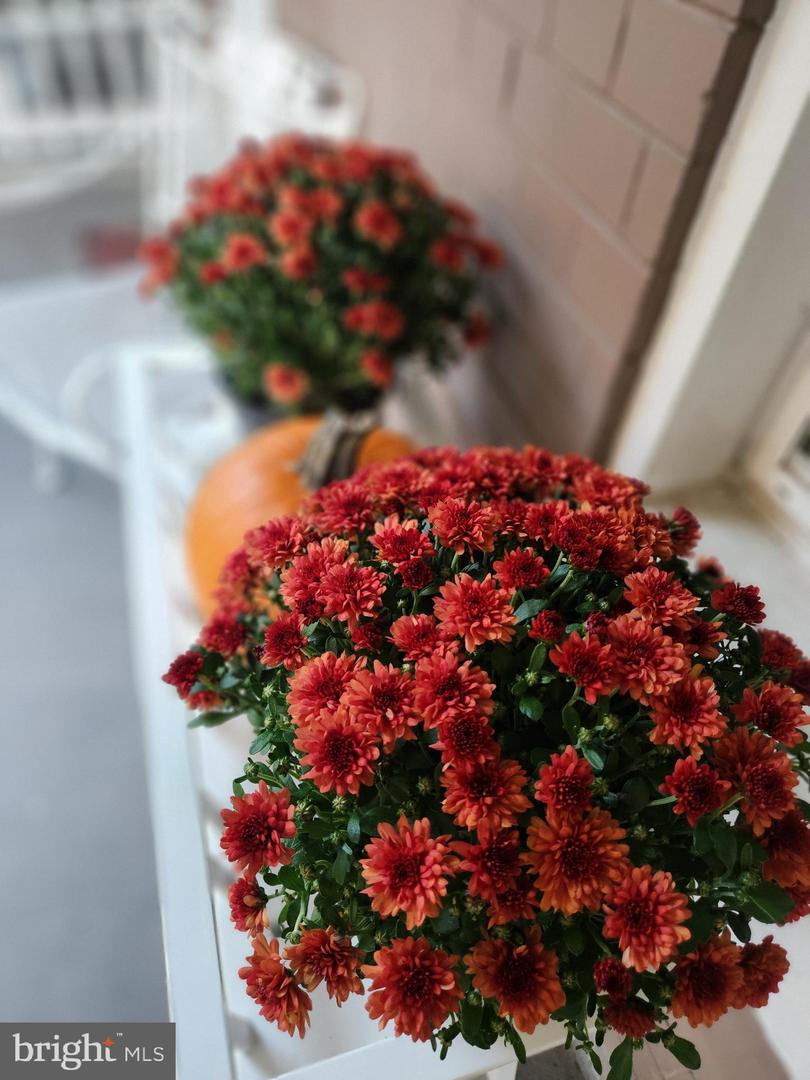 776 LAMONT ST NW, WASHINGTON, District Of Columbia 20010, 2 Bedrooms Bedrooms, ,1 BathroomBathrooms,Residential,For sale,776 LAMONT ST NW,DCDC2225324 MLS # DCDC2225324