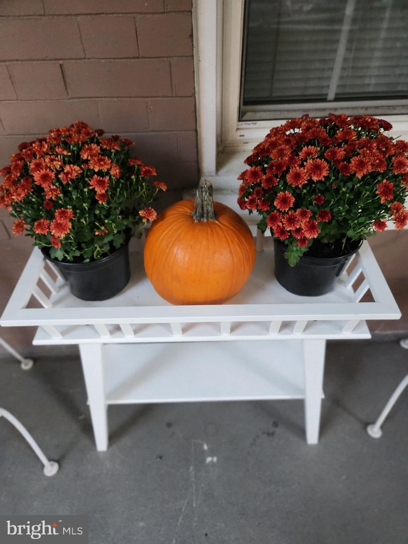 776 LAMONT ST NW, WASHINGTON, District Of Columbia 20010, 2 Bedrooms Bedrooms, ,1 BathroomBathrooms,Residential,For sale,776 LAMONT ST NW,DCDC2225324 MLS # DCDC2225324