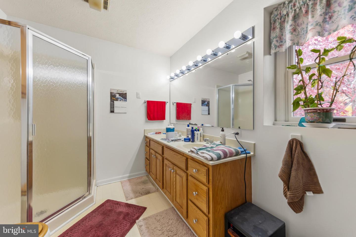 100 WINNS CIR, WINCHESTER, Virginia 22602, 4 Bedrooms Bedrooms, ,2 BathroomsBathrooms,Residential,For sale,100 WINNS CIR,VAFV2037826 MLS # VAFV2037826