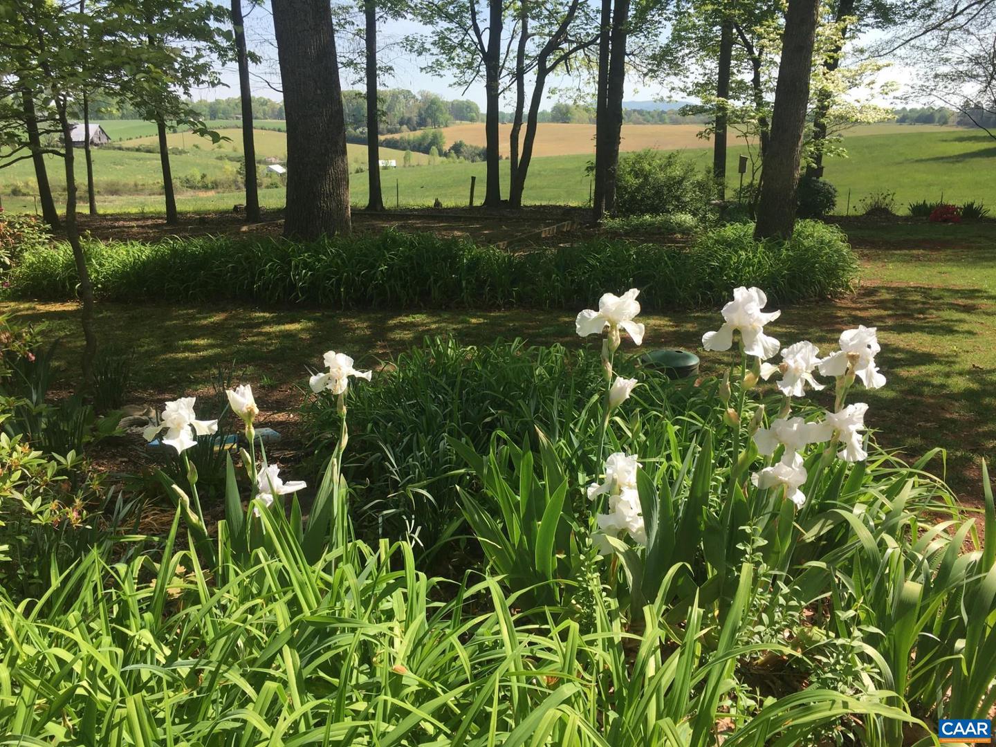 255 SADIE LN, MADISON, Virginia 22727, 3 Bedrooms Bedrooms, ,2 BathroomsBathrooms,Residential,For sale,255 SADIE LN,671438 MLS # 671438