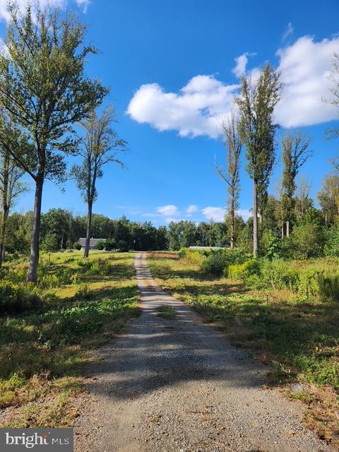 18257 CARTER LN, BRANDY STATION, Virginia 22714, 1 Bedroom Bedrooms, ,1 BathroomBathrooms,Residential,For sale,18257 CARTER LN,VACU2011474 MLS # VACU2011474 18257 CARTER LN, BRANDY STATION, Virginia 22714, 1 Bedroom Bedrooms, ,1 BathroomBathrooms,Residential,For sale,18257 CARTER LN,VACU2011474 MLS # VACU2011474