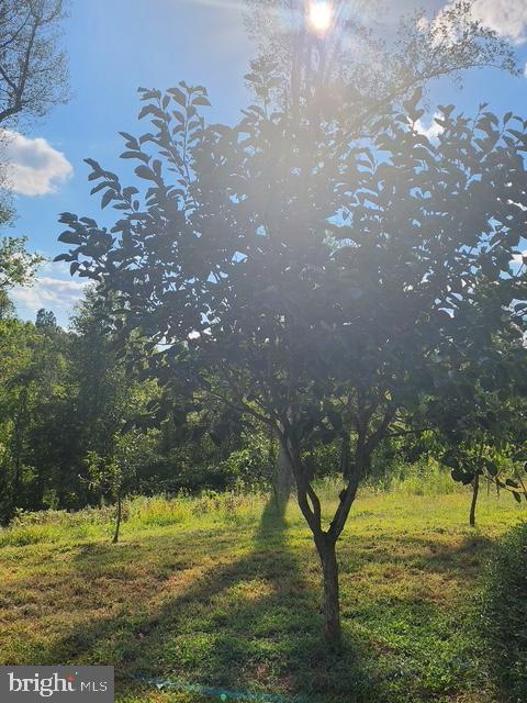 18257 CARTER LN, BRANDY STATION, Virginia 22714, 1 Bedroom Bedrooms, ,1 BathroomBathrooms,Residential,For sale,18257 CARTER LN,VACU2011474 MLS # VACU2011474 18257 CARTER LN, BRANDY STATION, Virginia 22714, 1 Bedroom Bedrooms, ,1 BathroomBathrooms,Residential,For sale,18257 CARTER LN,VACU2011474 MLS # VACU2011474