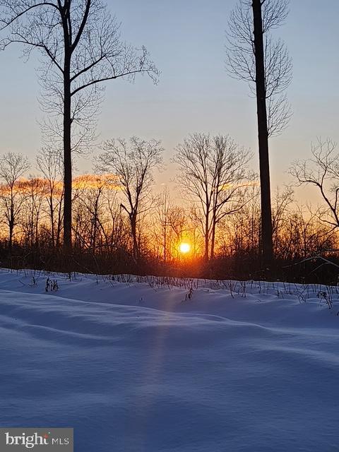 18257 CARTER LN, BRANDY STATION, Virginia 22714, 1 Bedroom Bedrooms, ,1 BathroomBathrooms,Residential,For sale,18257 CARTER LN,VACU2011474 MLS # VACU2011474 18257 CARTER LN, BRANDY STATION, Virginia 22714, 1 Bedroom Bedrooms, ,1 BathroomBathrooms,Residential,For sale,18257 CARTER LN,VACU2011474 MLS # VACU2011474