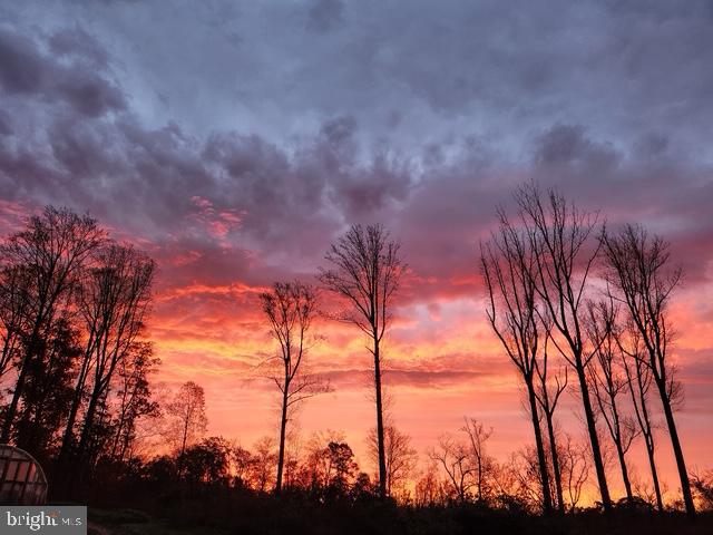 18257 CARTER LN, BRANDY STATION, Virginia 22714, 1 Bedroom Bedrooms, ,1 BathroomBathrooms,Residential,For sale,18257 CARTER LN,VACU2011474 MLS # VACU2011474 18257 CARTER LN, BRANDY STATION, Virginia 22714, 1 Bedroom Bedrooms, ,1 BathroomBathrooms,Residential,For sale,18257 CARTER LN,VACU2011474 MLS # VACU2011474