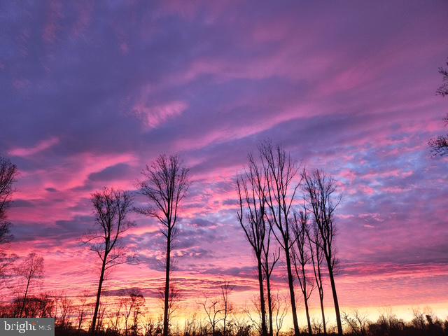 18257 CARTER LN, BRANDY STATION, Virginia 22714, 1 Bedroom Bedrooms, ,1 BathroomBathrooms,Residential,For sale,18257 CARTER LN,VACU2011474 MLS # VACU2011474 18257 CARTER LN, BRANDY STATION, Virginia 22714, 1 Bedroom Bedrooms, ,1 BathroomBathrooms,Residential,For sale,18257 CARTER LN,VACU2011474 MLS # VACU2011474