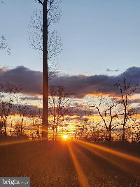 18257 CARTER LN, BRANDY STATION, Virginia 22714, 1 Bedroom Bedrooms, ,1 BathroomBathrooms,Residential,For sale,18257 CARTER LN,VACU2011474 MLS # VACU2011474 18257 CARTER LN, BRANDY STATION, Virginia 22714, 1 Bedroom Bedrooms, ,1 BathroomBathrooms,Residential,For sale,18257 CARTER LN,VACU2011474 MLS # VACU2011474