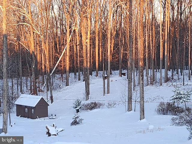 18257 CARTER LN, BRANDY STATION, Virginia 22714, 1 Bedroom Bedrooms, ,1 BathroomBathrooms,Residential,For sale,18257 CARTER LN,VACU2011474 MLS # VACU2011474 18257 CARTER LN, BRANDY STATION, Virginia 22714, 1 Bedroom Bedrooms, ,1 BathroomBathrooms,Residential,For sale,18257 CARTER LN,VACU2011474 MLS # VACU2011474