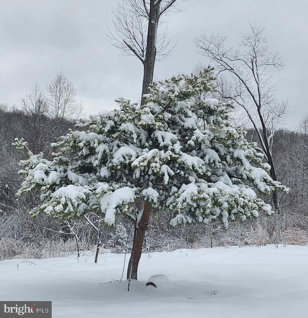 18257 CARTER LN, BRANDY STATION, Virginia 22714, 1 Bedroom Bedrooms, ,1 BathroomBathrooms,Residential,For sale,18257 CARTER LN,VACU2011474 MLS # VACU2011474 18257 CARTER LN, BRANDY STATION, Virginia 22714, 1 Bedroom Bedrooms, ,1 BathroomBathrooms,Residential,For sale,18257 CARTER LN,VACU2011474 MLS # VACU2011474