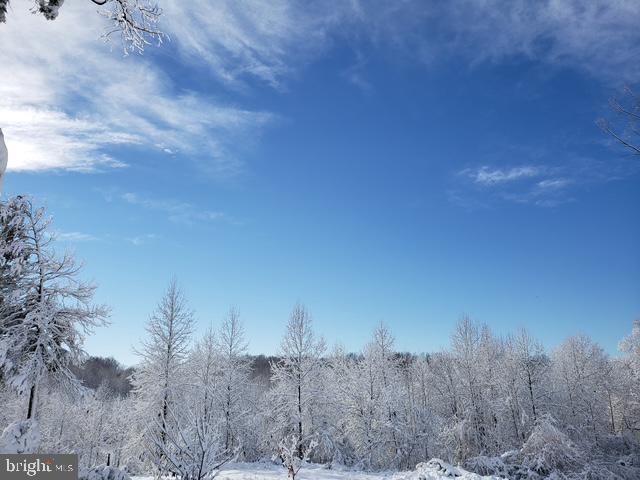 18257 CARTER LN, BRANDY STATION, Virginia 22714, 1 Bedroom Bedrooms, ,1 BathroomBathrooms,Residential,For sale,18257 CARTER LN,VACU2011474 MLS # VACU2011474 18257 CARTER LN, BRANDY STATION, Virginia 22714, 1 Bedroom Bedrooms, ,1 BathroomBathrooms,Residential,For sale,18257 CARTER LN,VACU2011474 MLS # VACU2011474