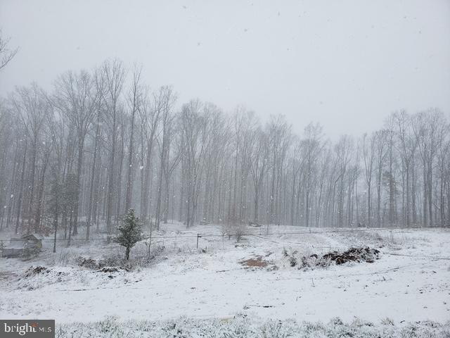 18257 CARTER LN, BRANDY STATION, Virginia 22714, 1 Bedroom Bedrooms, ,1 BathroomBathrooms,Residential,For sale,18257 CARTER LN,VACU2011474 MLS # VACU2011474 18257 CARTER LN, BRANDY STATION, Virginia 22714, 1 Bedroom Bedrooms, ,1 BathroomBathrooms,Residential,For sale,18257 CARTER LN,VACU2011474 MLS # VACU2011474