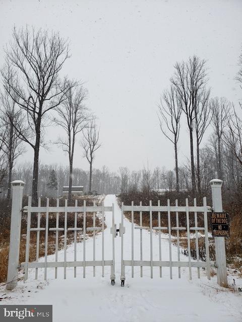 18257 CARTER LN, BRANDY STATION, Virginia 22714, 1 Bedroom Bedrooms, ,1 BathroomBathrooms,Residential,For sale,18257 CARTER LN,VACU2011474 MLS # VACU2011474 18257 CARTER LN, BRANDY STATION, Virginia 22714, 1 Bedroom Bedrooms, ,1 BathroomBathrooms,Residential,For sale,18257 CARTER LN,VACU2011474 MLS # VACU2011474