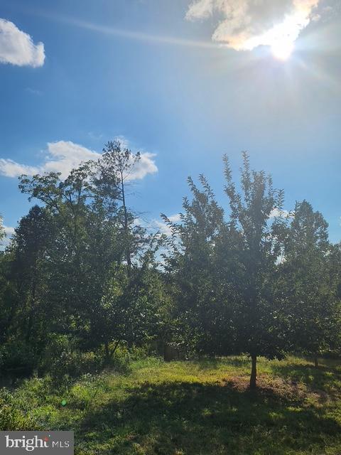 18257 CARTER LN, BRANDY STATION, Virginia 22714, 1 Bedroom Bedrooms, ,1 BathroomBathrooms,Residential,For sale,18257 CARTER LN,VACU2011474 MLS # VACU2011474 18257 CARTER LN, BRANDY STATION, Virginia 22714, 1 Bedroom Bedrooms, ,1 BathroomBathrooms,Residential,For sale,18257 CARTER LN,VACU2011474 MLS # VACU2011474