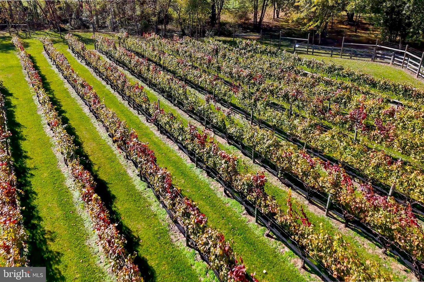 13902 BRONCO LN, LOVETTSVILLE, Virginia 20180, 4 Bedrooms Bedrooms, ,3 BathroomsBathrooms,Residential,For sale,13902 BRONCO LN,VALO2110032 MLS # VALO2110032 13902 BRONCO LN, LOVETTSVILLE, Virginia 20180, 4 Bedrooms Bedrooms, ,3 BathroomsBathrooms,Residential,For sale,13902 BRONCO LN,VALO2110032 MLS # VALO2110032