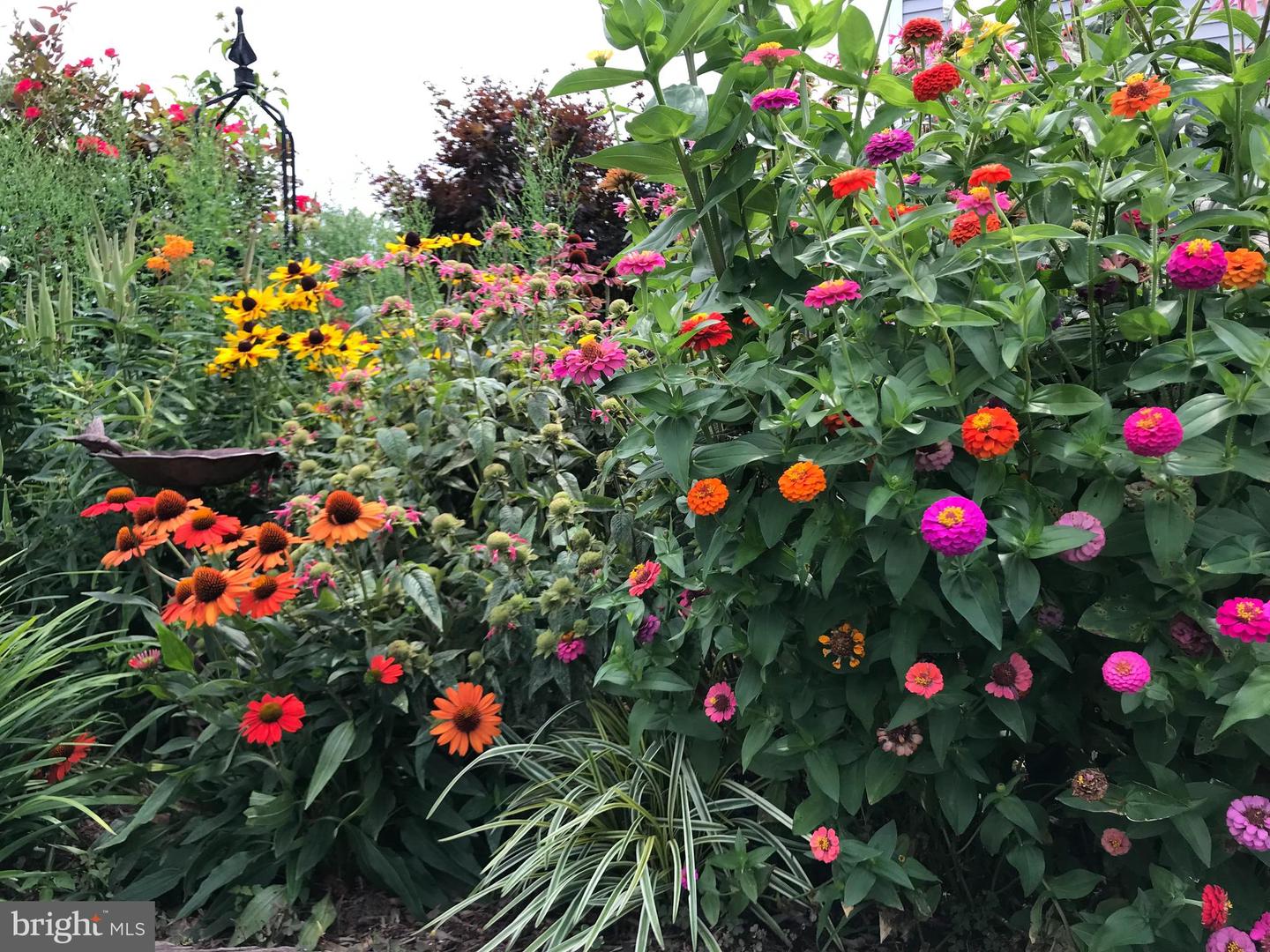 13902 BRONCO LN, LOVETTSVILLE, Virginia 20180, 4 Bedrooms Bedrooms, ,3 BathroomsBathrooms,Residential,For sale,13902 BRONCO LN,VALO2110032 MLS # VALO2110032 13902 BRONCO LN, LOVETTSVILLE, Virginia 20180, 4 Bedrooms Bedrooms, ,3 BathroomsBathrooms,Residential,For sale,13902 BRONCO LN,VALO2110032 MLS # VALO2110032