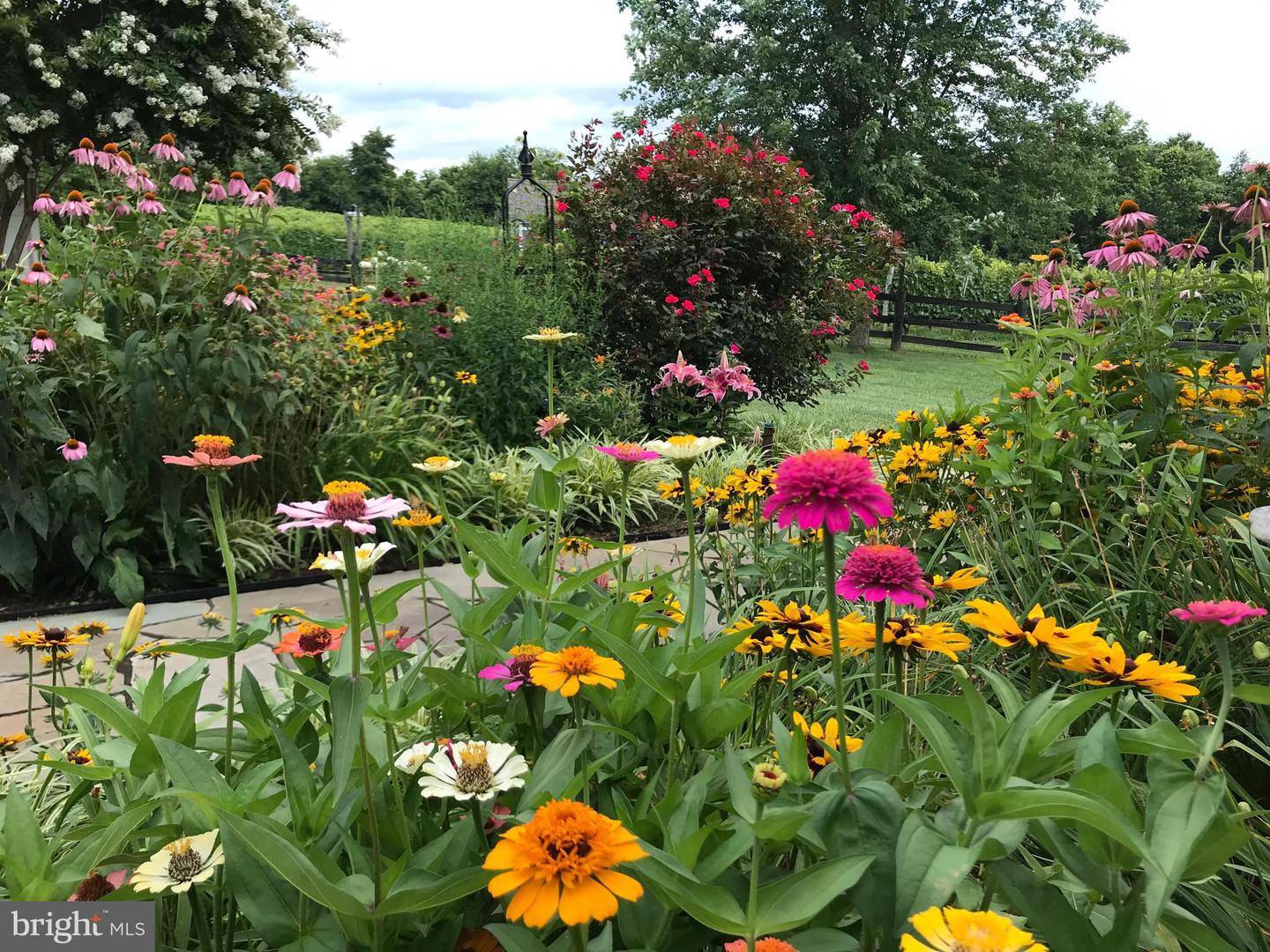 13902 BRONCO LN, LOVETTSVILLE, Virginia 20180, 4 Bedrooms Bedrooms, ,3 BathroomsBathrooms,Residential,For sale,13902 BRONCO LN,VALO2110032 MLS # VALO2110032 13902 BRONCO LN, LOVETTSVILLE, Virginia 20180, 4 Bedrooms Bedrooms, ,3 BathroomsBathrooms,Residential,For sale,13902 BRONCO LN,VALO2110032 MLS # VALO2110032