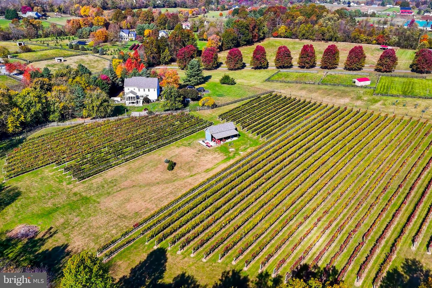 13902 BRONCO LN, LOVETTSVILLE, Virginia 20180, 4 Bedrooms Bedrooms, ,3 BathroomsBathrooms,Residential,For sale,13902 BRONCO LN,VALO2110032 MLS # VALO2110032 13902 BRONCO LN, LOVETTSVILLE, Virginia 20180, 4 Bedrooms Bedrooms, ,3 BathroomsBathrooms,Residential,For sale,13902 BRONCO LN,VALO2110032 MLS # VALO2110032