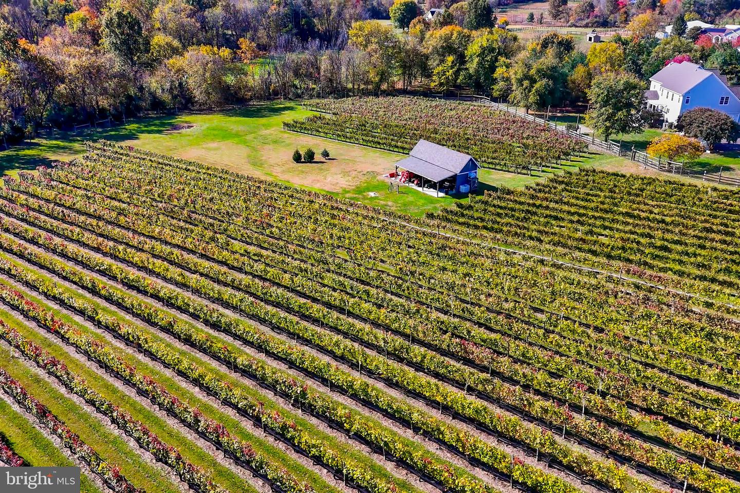 13902 BRONCO LN, LOVETTSVILLE, Virginia 20180, 4 Bedrooms Bedrooms, ,3 BathroomsBathrooms,Residential,For sale,13902 BRONCO LN,VALO2110032 MLS # VALO2110032 13902 BRONCO LN, LOVETTSVILLE, Virginia 20180, 4 Bedrooms Bedrooms, ,3 BathroomsBathrooms,Residential,For sale,13902 BRONCO LN,VALO2110032 MLS # VALO2110032